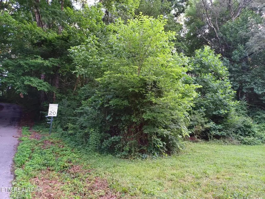 2732 Willocks Ave, Maryville, TN 37804 - #3