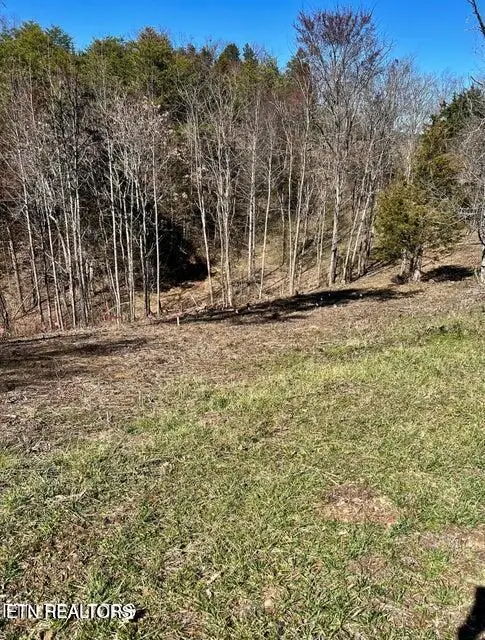 Lot 1 A 2009 Scott Street, Sevierville, TN 37876 - #1