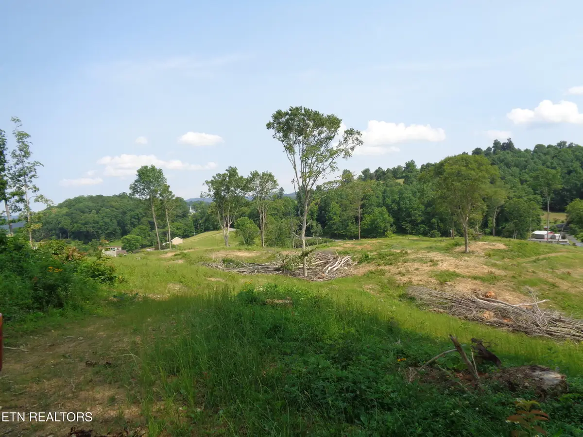 3877 Hwy 66, Sneedville, TN 37869 - #1