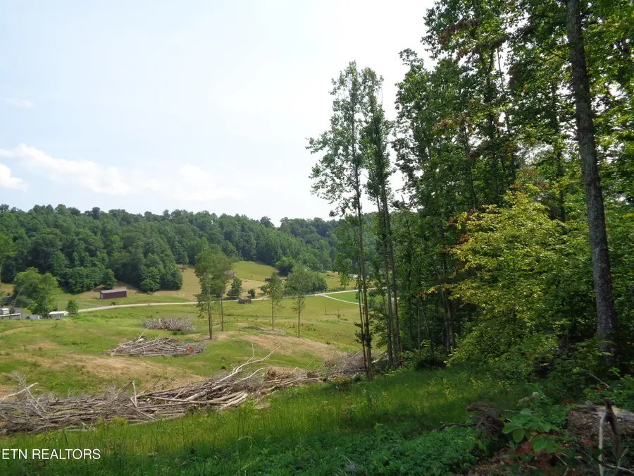 3877 Hwy 66, Sneedville, TN 37869 - #3