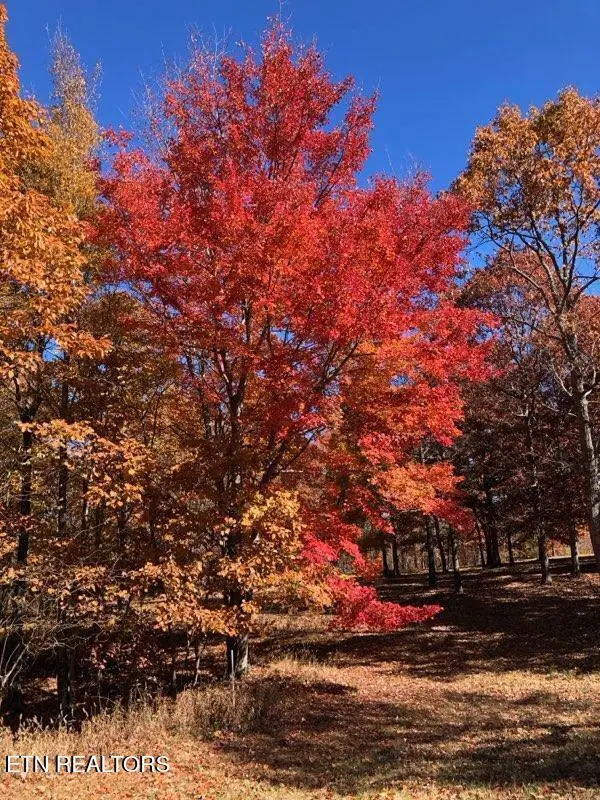 217 A Day Dream Drive, Dunlap, TN 37327