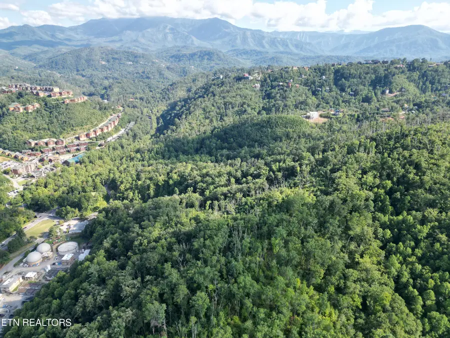 Wiley Oakley Drive, Gatlinburg, TN 37738 - #2