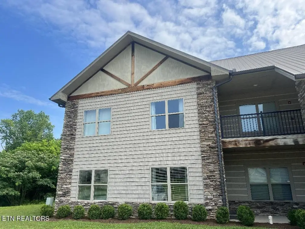 326 Shooting Star Loop #201, Townsend, TN 37882 - #1