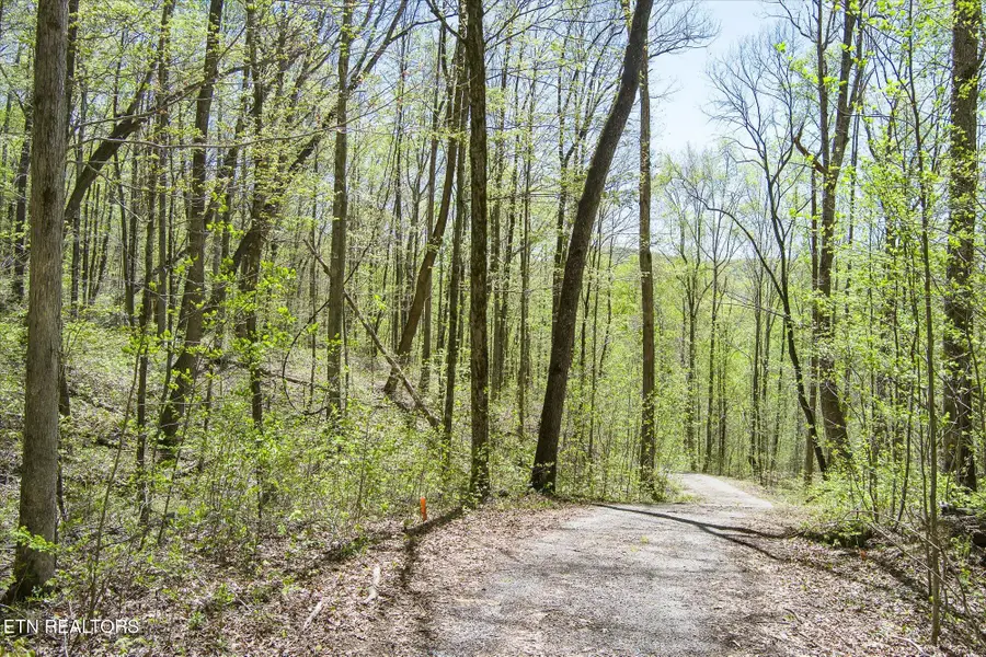 Pawnee Lane, Jamestown, TN 38556 - #2