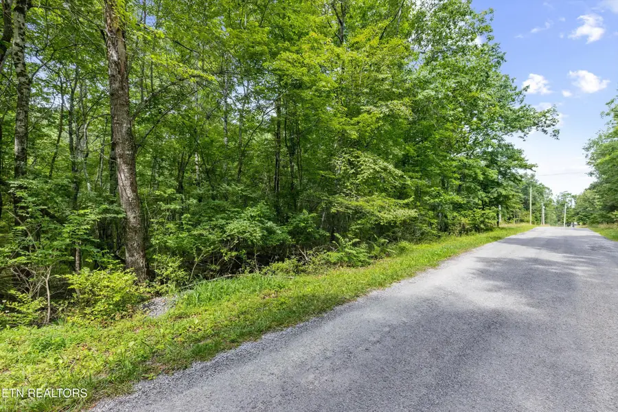 3029 Nocatee Trace, Crossville, TN 38572 - #2