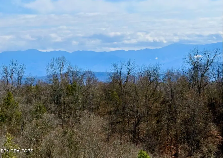 609 Lane Hollow Rd, Sevierville, TN 37876 - #3