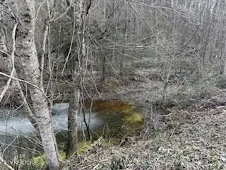 Bates Gibson Rd, Sevierville, TN 37876