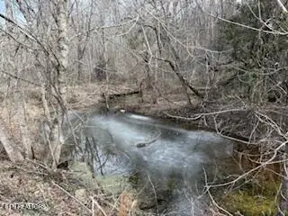 Bates Gibson Rd, Sevierville, TN 37876 - #2