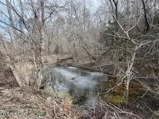 Bates Gibson Rd, Sevierville, TN 37876 - #3