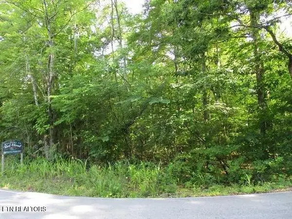 Lot 12 Red Cloud Rd, Ten Mile, TN 37880