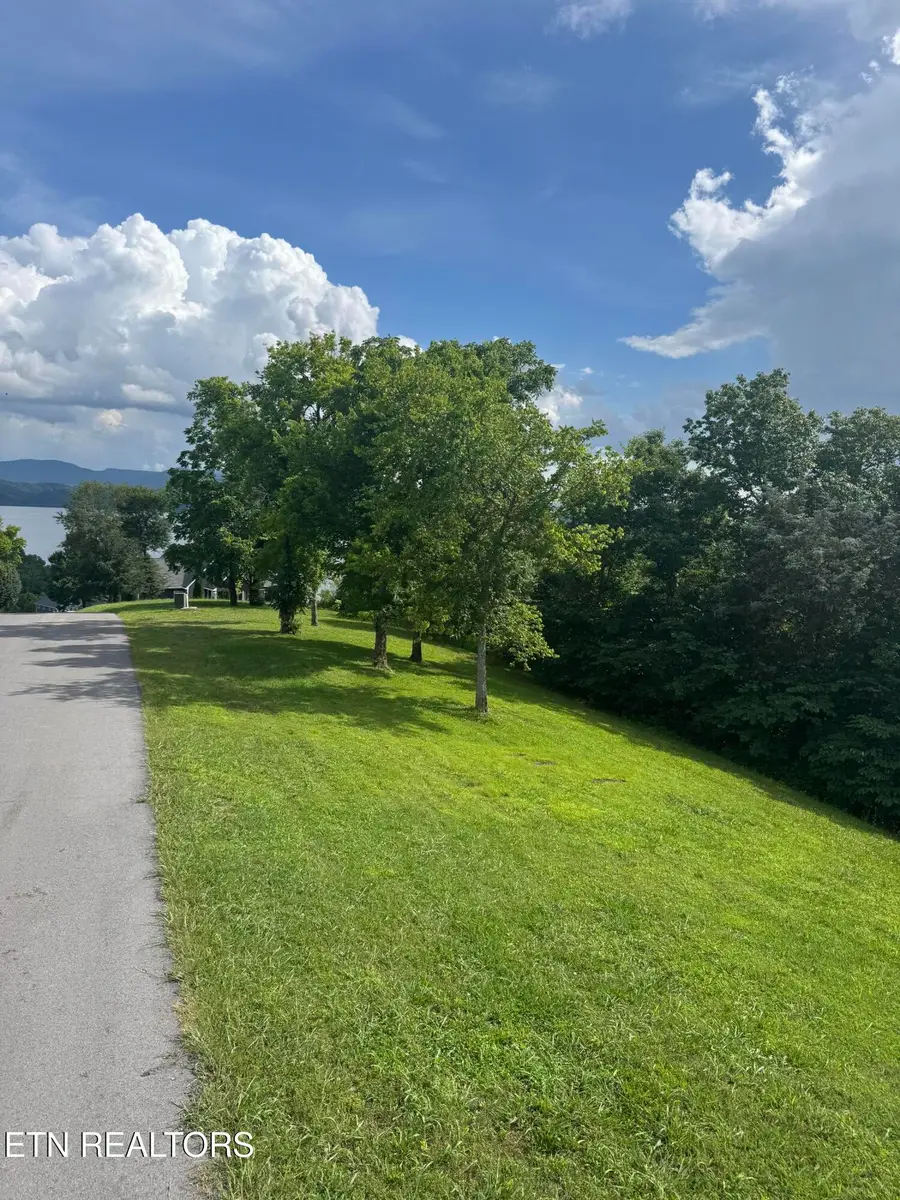 Ivy Way, Newport, TN 37821 - #3