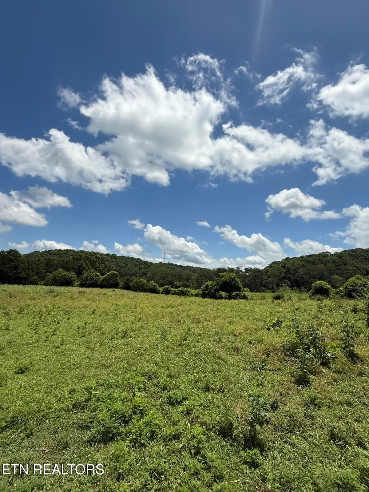 0 Newman Lane, Blaine, TN 37709 - #1