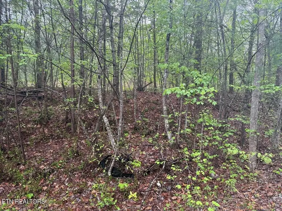 0 Muddy Branch Rd, Crossville, TN 38571 - #2