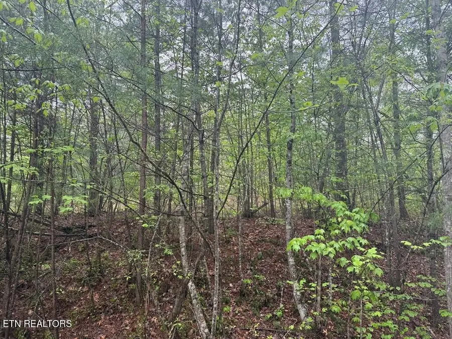 0 Muddy Branch Rd, Crossville, TN 38571 - #3