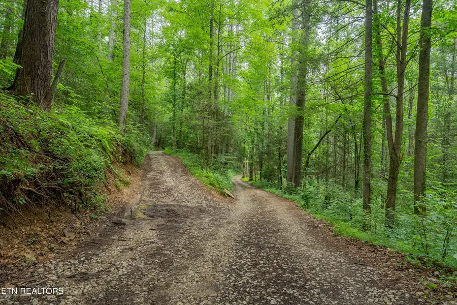 118 Authorn Sheldon Rd, Harriman, TN 37748 - #3