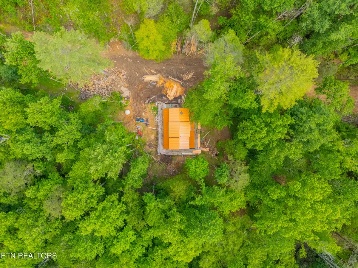 118 Authorn Sheldon Rd, Harriman, TN 37748 - #1