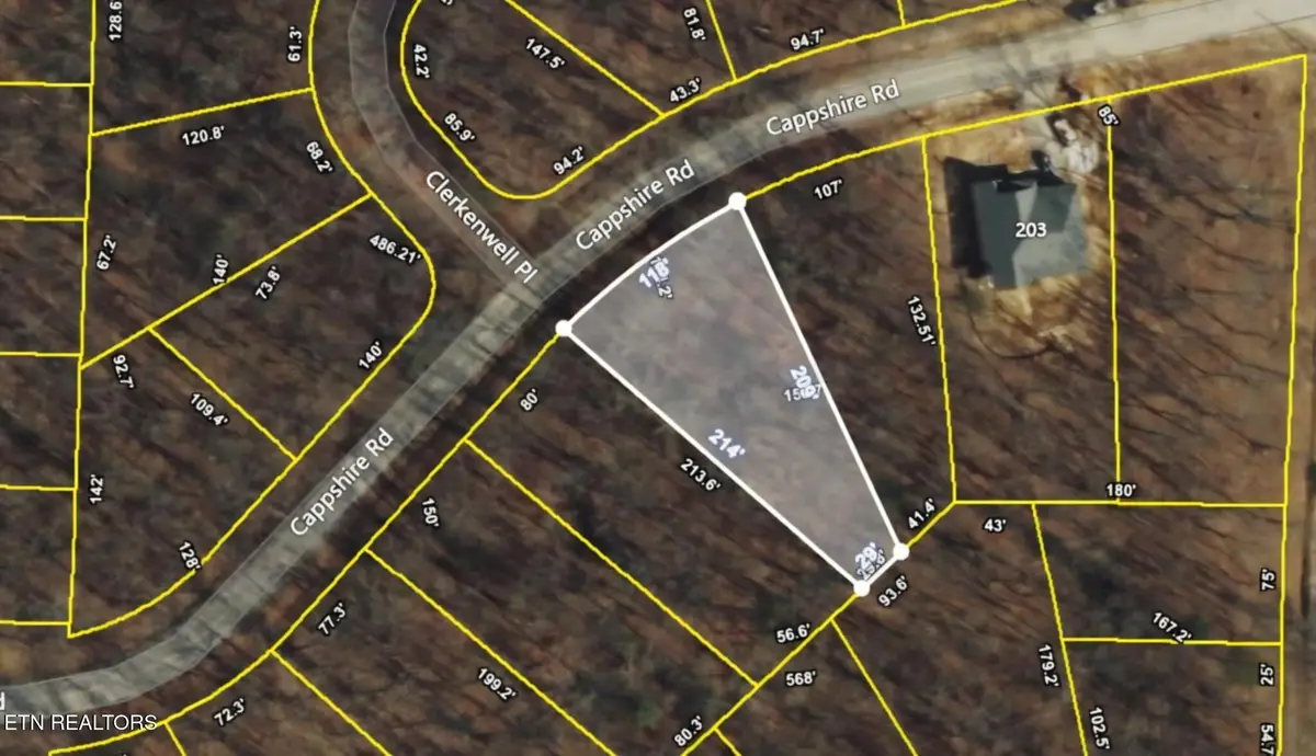 209 Cappshire Rd, Crossville, TN 38558 - #1