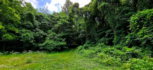 1580 Restful Way, Newport, TN 37821