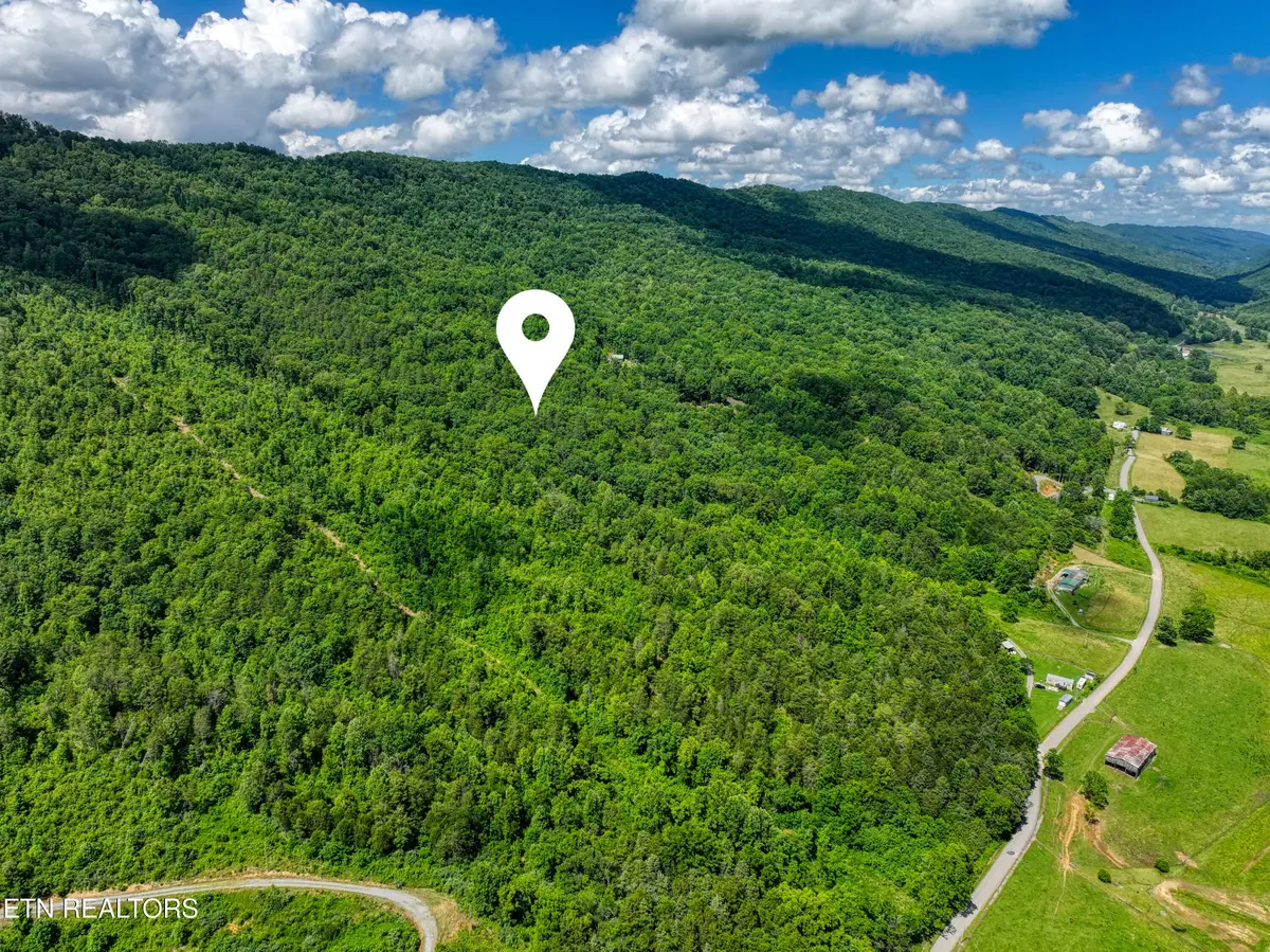 Vardy Blackwater Rd, Sneedville, TN 37869 - #1