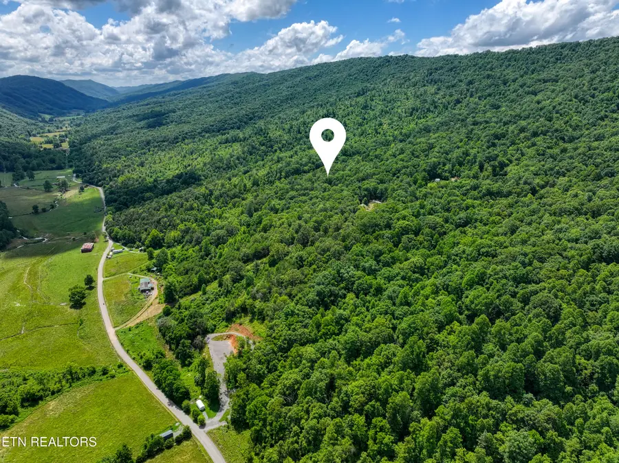 Vardy Blackwater Rd, Sneedville, TN 37869 - #3