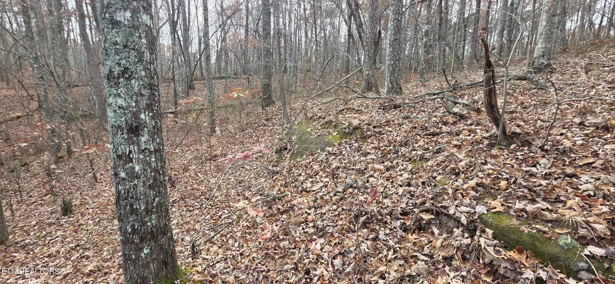 25 Down Place, Monterey, TN 38574 - #1