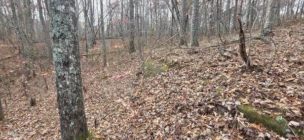 25 Down Place, Monterey, TN 38574