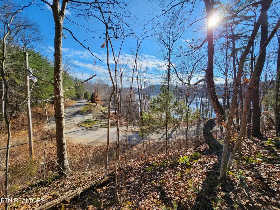 Cove Pointe Rd, Lafollette, TN 37766 - #3