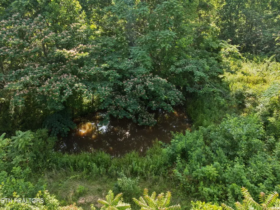 378 Johnson Hollow Rd, Sharps Chapel, TN 37866 - #3