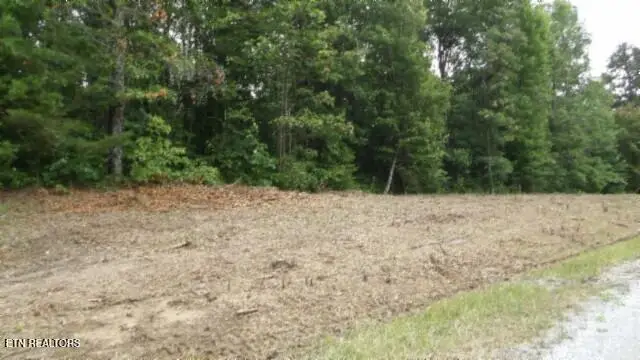 Lot 222 Hilltop Lane, Wilder, TN 38589 - #3