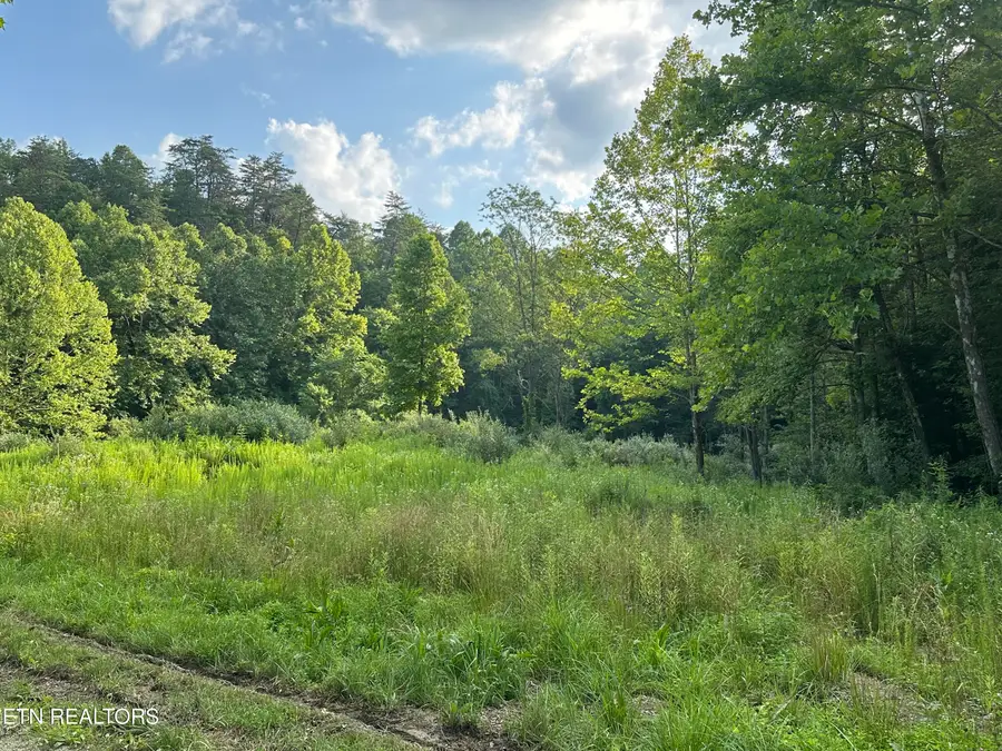 Doc Hollow Off Lowes Branch Rd, Lafollette, TN 37766 - #2