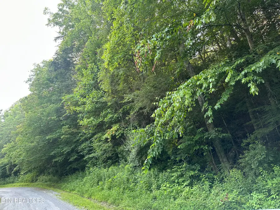 Doc Hollow Off Lowes Branch Rd, Lafollette, TN 37766 - #3