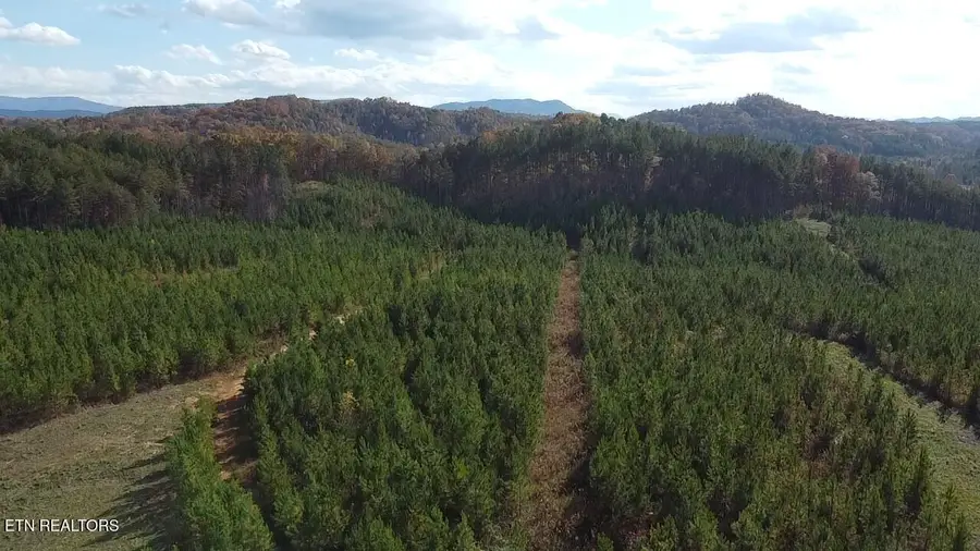 Lot 51 Three Point Rd, Madisonville, TN 37354 - #2