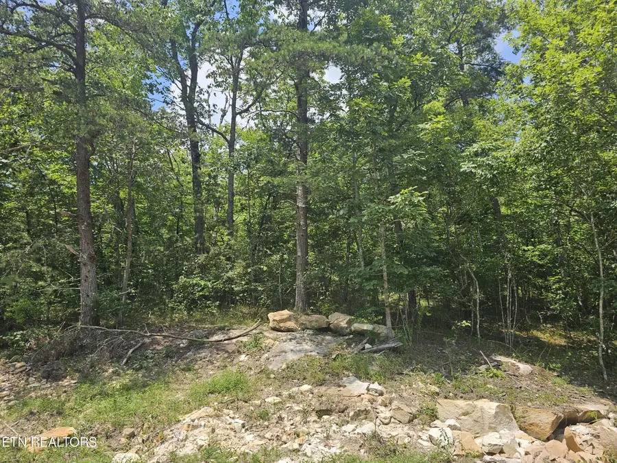 371 St. George Drive, Crossville, TN 38558 - #3