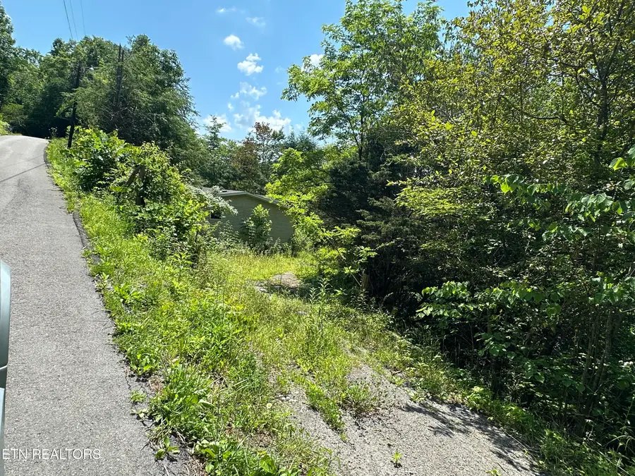 Hwy 119, Calvin, KY 40813 - #2