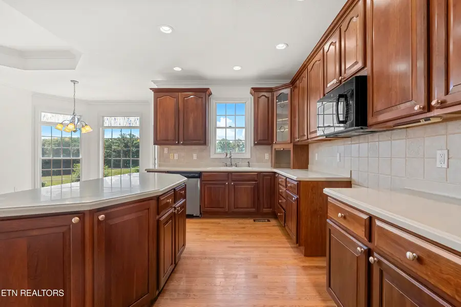 310 Meredith Court, Maryville, TN 37803 - #3