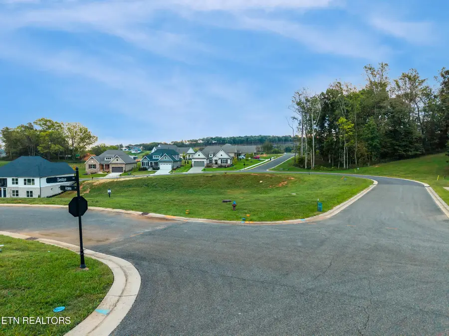 249 Sedge Lane, Loudon, TN 37774 - #2