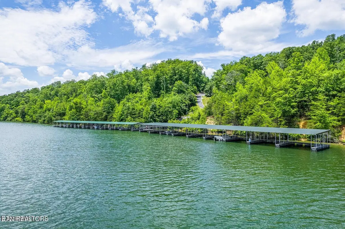 439 Ridgeway Pass, Spring City, TN 37381 - #1