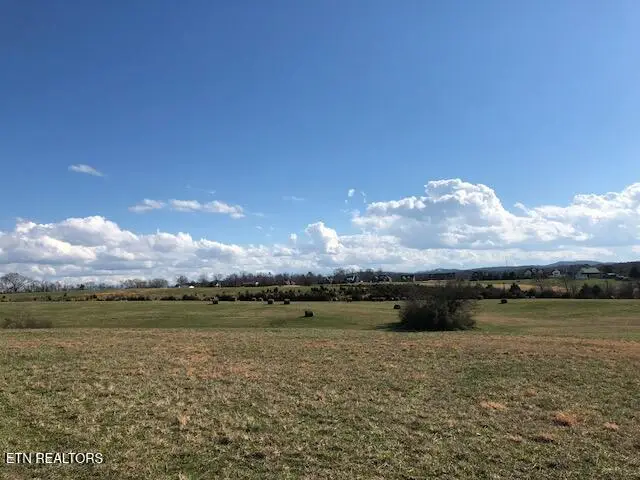 8634 Shackleford Lane, Strawberry Plains, TN 37871 - #3