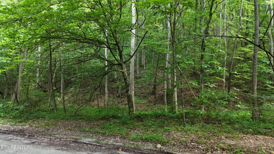 Lot 13/14 Clifton Cemetery Rd, Spring City, TN 37381 - #2