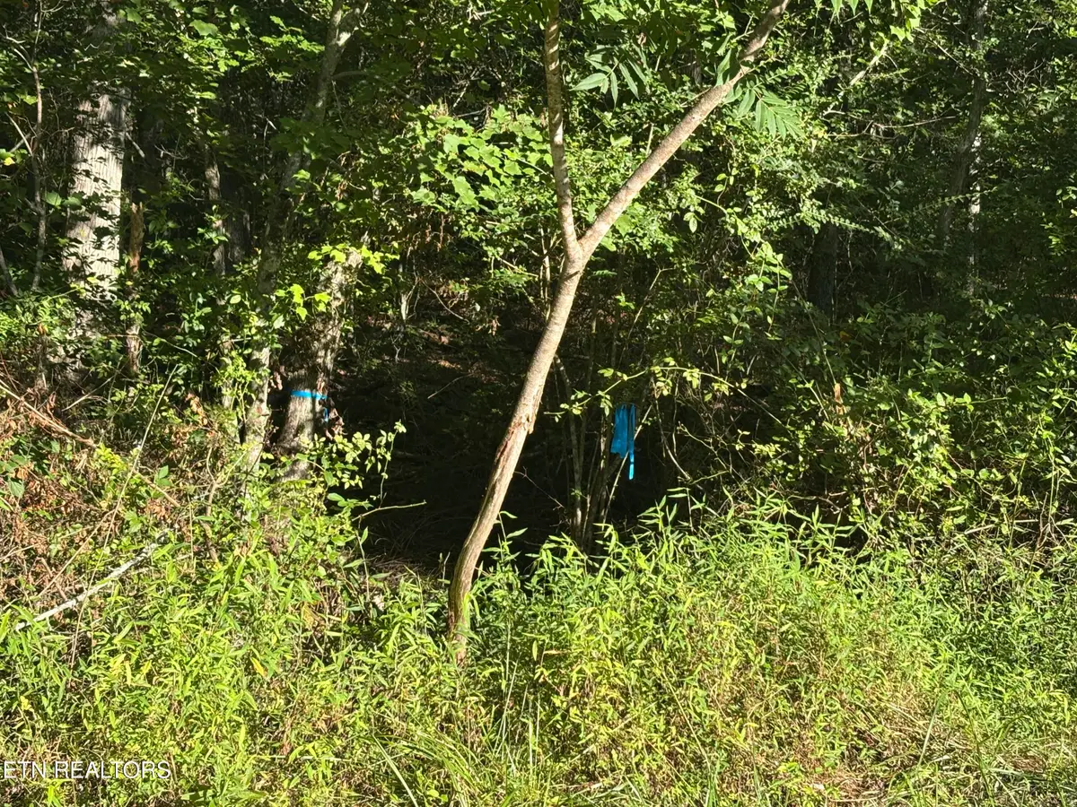 5054 Chinook Lane, Crossville, TN 38572 - #1