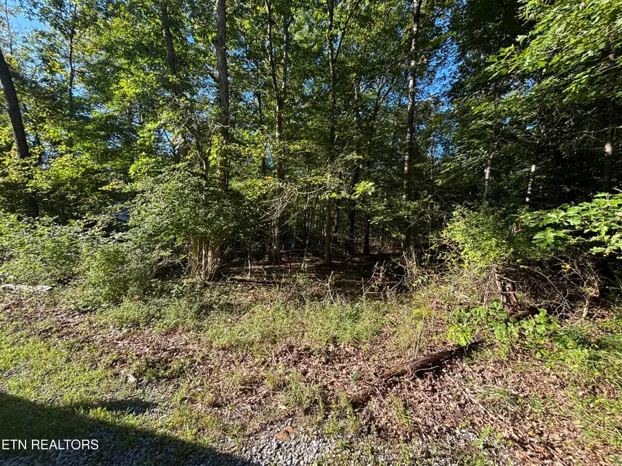 5054 Chinook Lane, Crossville, TN 38572 - #3