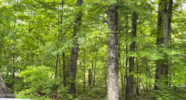 5002 Crazy Horse Drive, Crossville, TN 38572