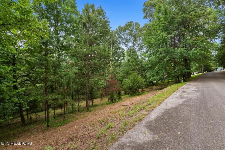 46, 47, 48 Bucks And Doe Lane, Lafollette, TN 37766 - #3