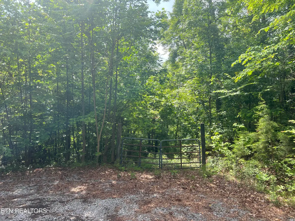 Lot 240-242 Laurel Mountain Rd, Madisonville, TN 37354 - #1
