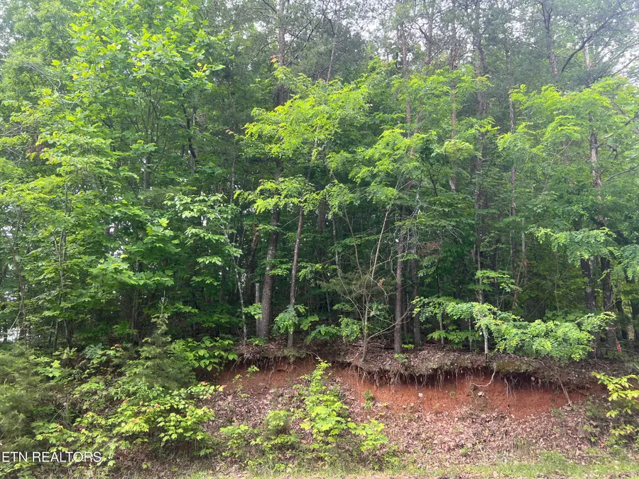 Lot 240-242 Laurel Mountain Rd, Madisonville, TN 37354 - #2