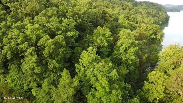 Lot 13 Woodland Creek Drive, Dandridge, TN 37725 - #2