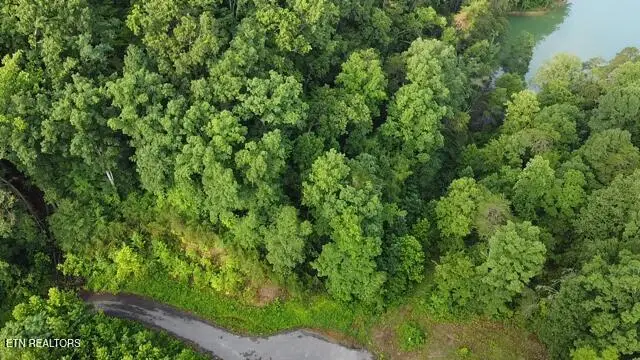 Lot 13 Woodland Creek Drive, Dandridge, TN 37725 - #3
