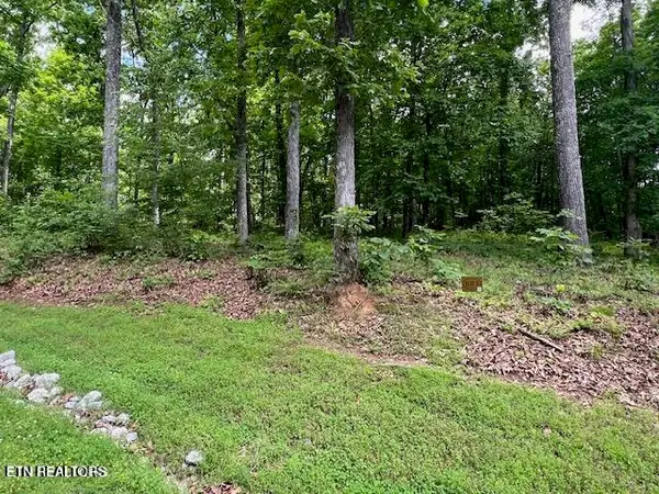506 Grande Vista Drive, Rockwood, TN 37854