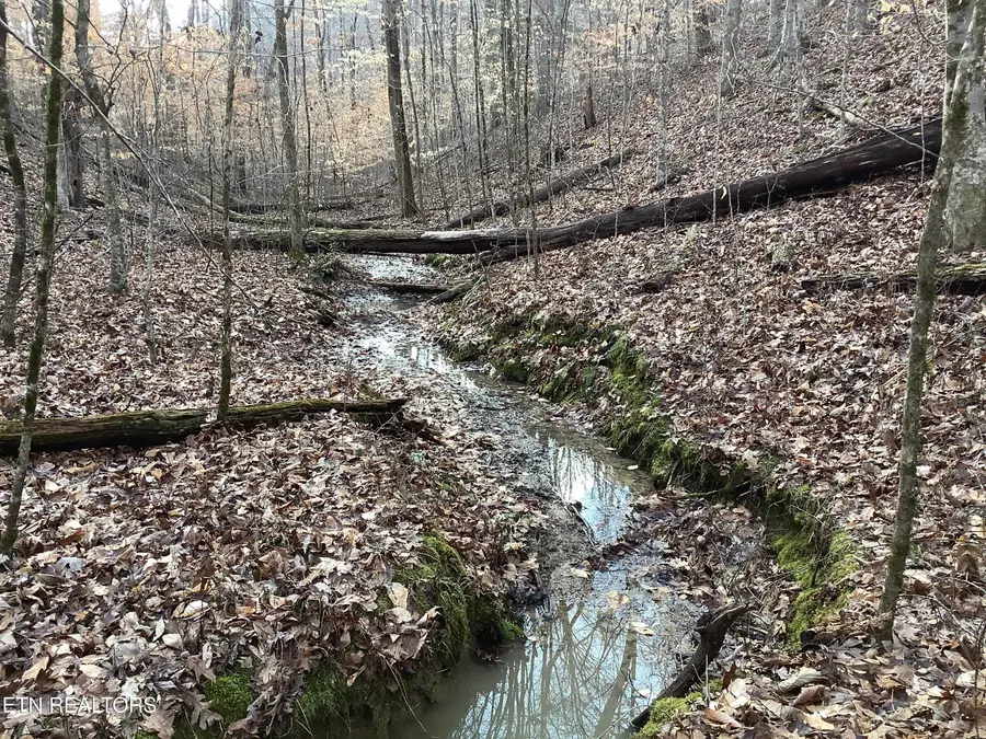 Blockhouse Rd, Maryville, TN 37803 - #2