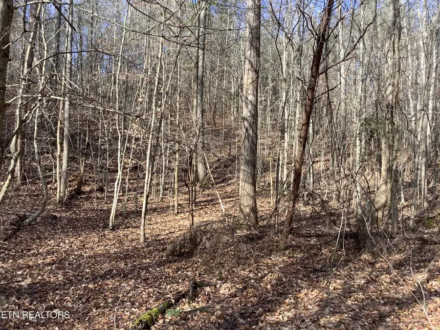 Blockhouse Rd, Maryville, TN 37803 - #3